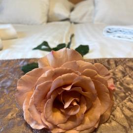 Hotel Rose City, khách sạn ở Budapest