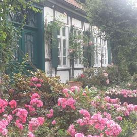 Rosindell cottage, khách sạn ở Halle Westfalen