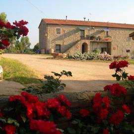 Viesnīca Agriturismo La Valentina Nuova pilsētā Talamone