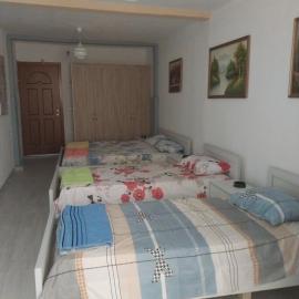 Ledion Apartment