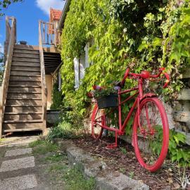 Gites des Trois Provinces, Zoo de Beauval, hotel in Noyers-sur-Cher