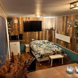 Beach House met badkamer, boxspring, airco & wellness, hotell sihtkohas Schoonebeek