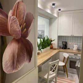Best apartments on Lyatoshinsky street, hotel a Zhytomyr