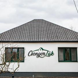 Csongor Lak, hotel in Nyíregyháza