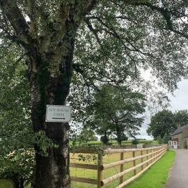 Ivy House, hotel in Longnor