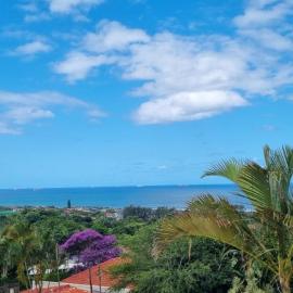 Three Little Birds Guesthouse, Hotel in Durban