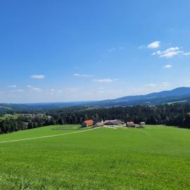 Pircherhof - Adults Only am Biobauernhof，珀勞的飯店