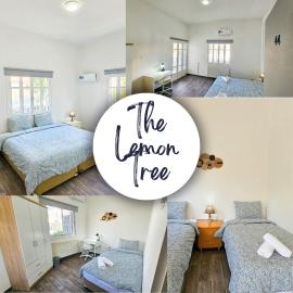 The Lemon Tree Hostel，拉納卡的飯店