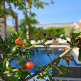 Apartmani Nika, hotel in Tribunj