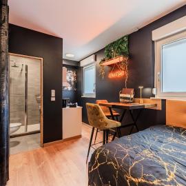 "STUDIO GOLD" Proche Gare - Netflix - Wifi - Cuisine, hotell i Drusenheim