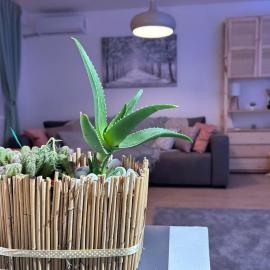Apartment Fiore