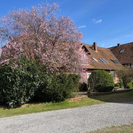 Ferienwohnung AllerStall