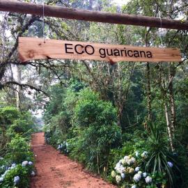 Bosque Contêiner Eco Guaricana, Hotel in São José dos Pinhais