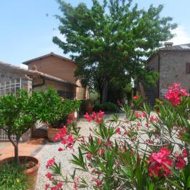 Fullino Nero Rta - Residenza Turistico Alberghiera, hotel Sienában