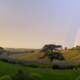 Haven Hills, hotel in Korumburra