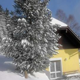 Ferienhaus in Prebl nahe Klippitztörl Skigebiet
