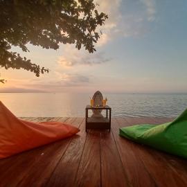 Villa Elsa Seaview