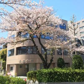 ゲストハウス昴, hotel in Tokyo