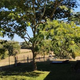 Gîte L'Esprit Nature