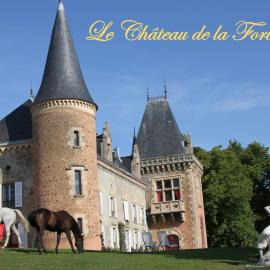 Château de la Forie，Saint-Étienne-sur-Usson的飯店