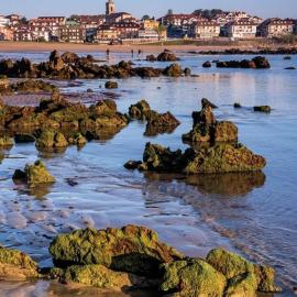Playa Y Cañas