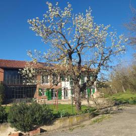 B&B Il vecchio pero