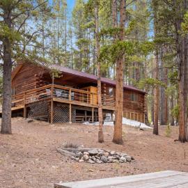 Lake Flora Cabin, хотел в Лийдвил