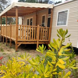 A la brise du Ferret - Camping les Embruns