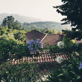 Country House - Hippie Garden, hotel in Vieira do Minho