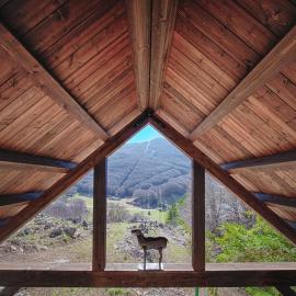 Rifugio del volpacchiotto - Piano Battaglia