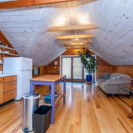 Bright and Cozy Treehouse Apartment