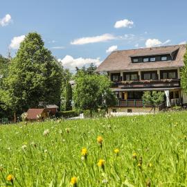 Gasthof Leitner - Der Wirt an der Klamm, hotell sihtkohas Donnersbach