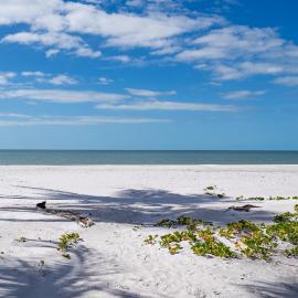 Castaway Cottage, hotel in Fort Myers Beach