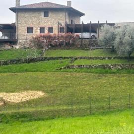 Nuovo B&B Colline San Benedetto