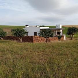 Aloe Cottage, hotel in Cloeteskraal