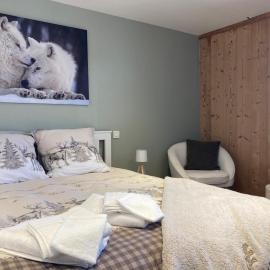 Spacious flat facing Mont Blanc