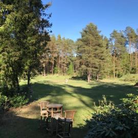 Waldoase 2, hotel in Rheinsberg