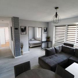 Agréable et Spacieux Appartement lumineux T4 ALSACE，Riedisheim的飯店