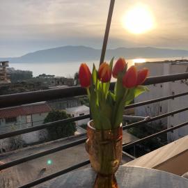 Jon’s View Home