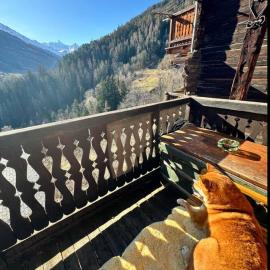 Un nid au paradis - Chalet traditionnel avec beaucoup de cachet, hotel v mestu Mayoux