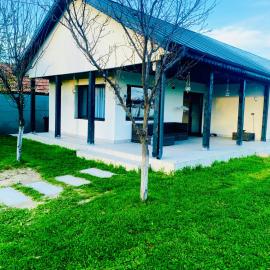 Tacchini's Home, hotel a Plosca