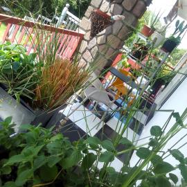 Chambre avec cuisine et SDB semi-privatives separées dans un ecrin de verdure