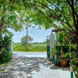 New Cormorant Lake Resort & Yala Safari Place, Hotel in Tissamaharama