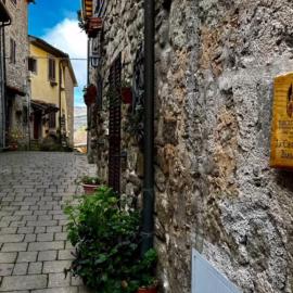 CASTAGNA BIANCA - Tuscan ToBe srl