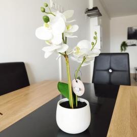 Parisian Cosy flat with Balcony, Hotel in Argenteuil