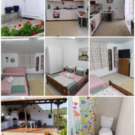 Mountain Top Eleochori Βουνοκορφή, hotel in Elaiokhórion