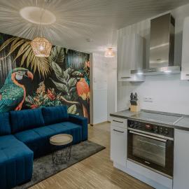 Passaus Motto Appartements! Solo - Pärchen - Familien - Gruppen, hotel a Passau