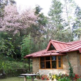 Snow View Cottage Kasardevi, hotell sihtkohas Almora