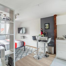 StuDio 11 Meublé Tourisme - Vue Vosges - Cœur Munster