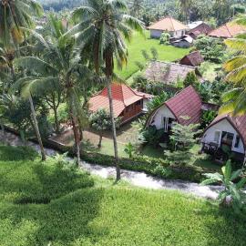 Damuh Pertivi, River and Rice Fields View